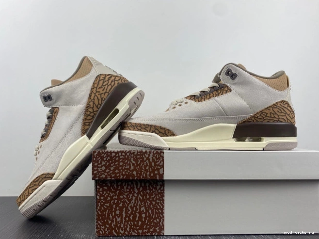 Palomino 3 Air CT8532-102 Jordan 0706